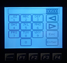 MiniZone Purification Process